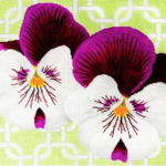 The Meredith Collection - Pansies on Mint